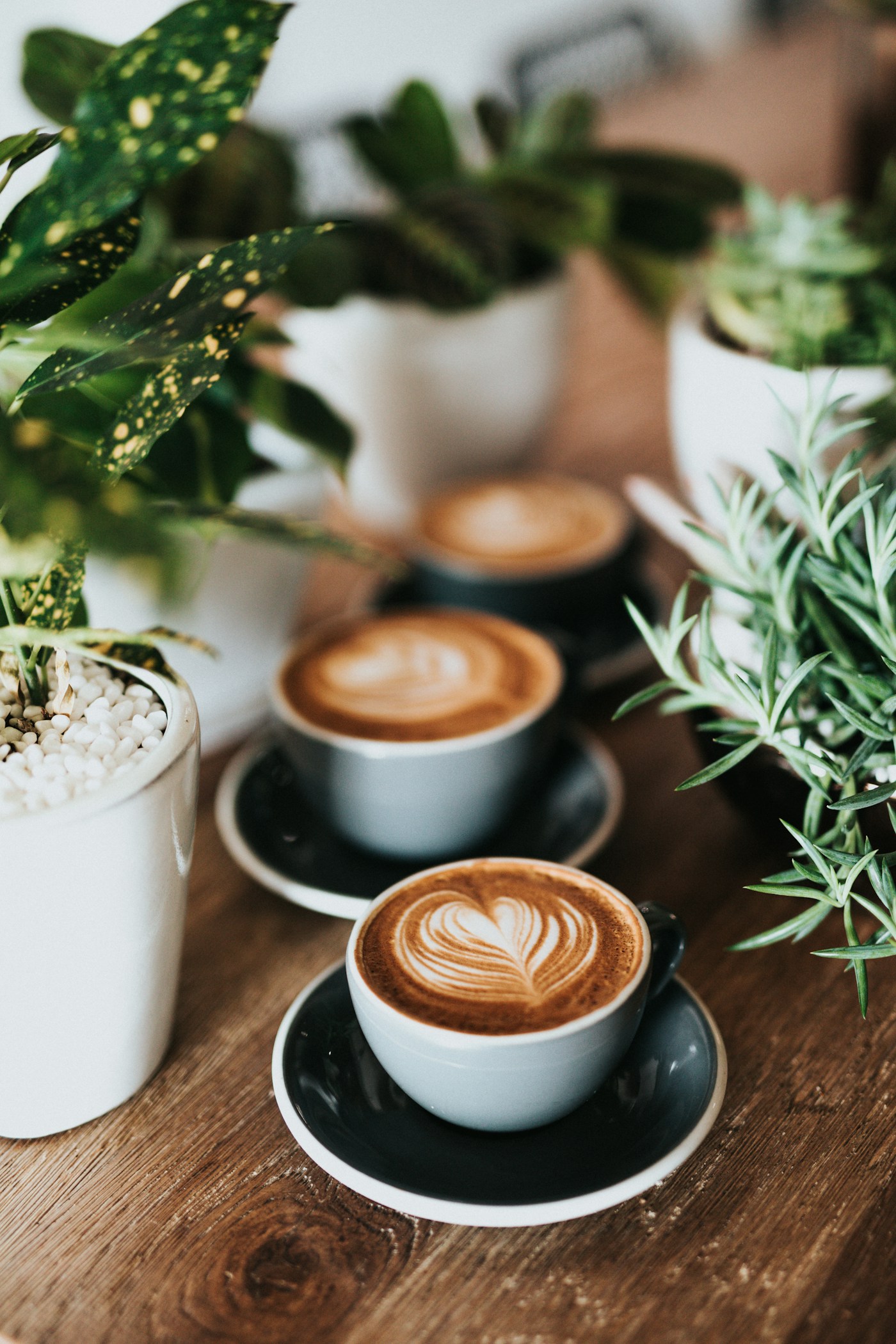 Barista at work behind the specialty espresso bar