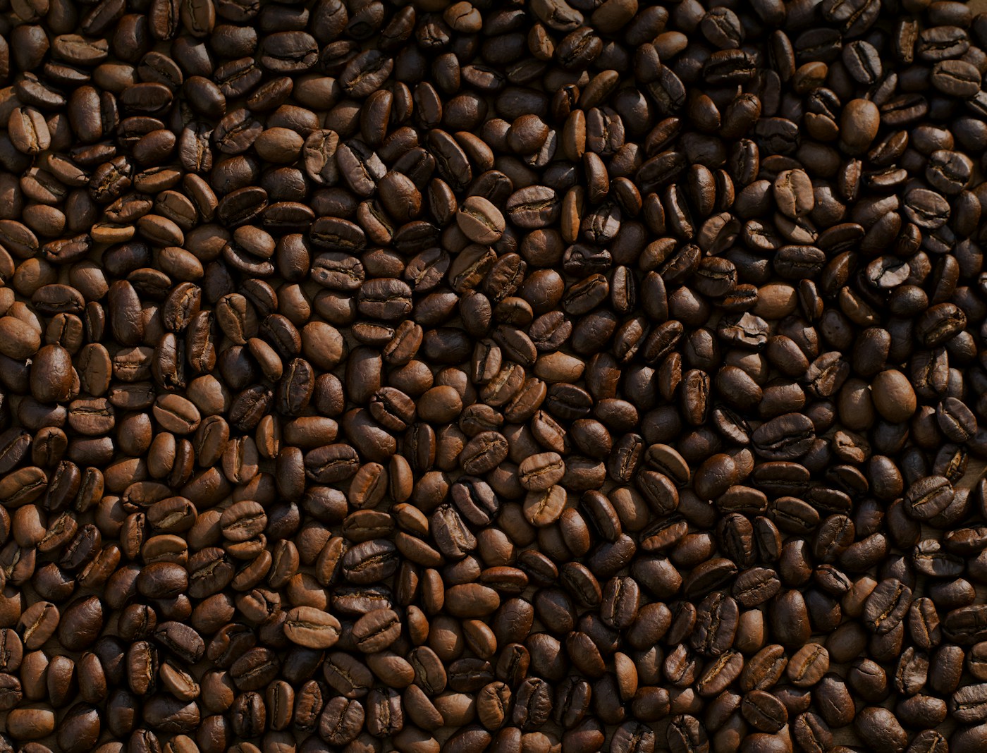 Origin beans arranged on a tray at the specialty bar